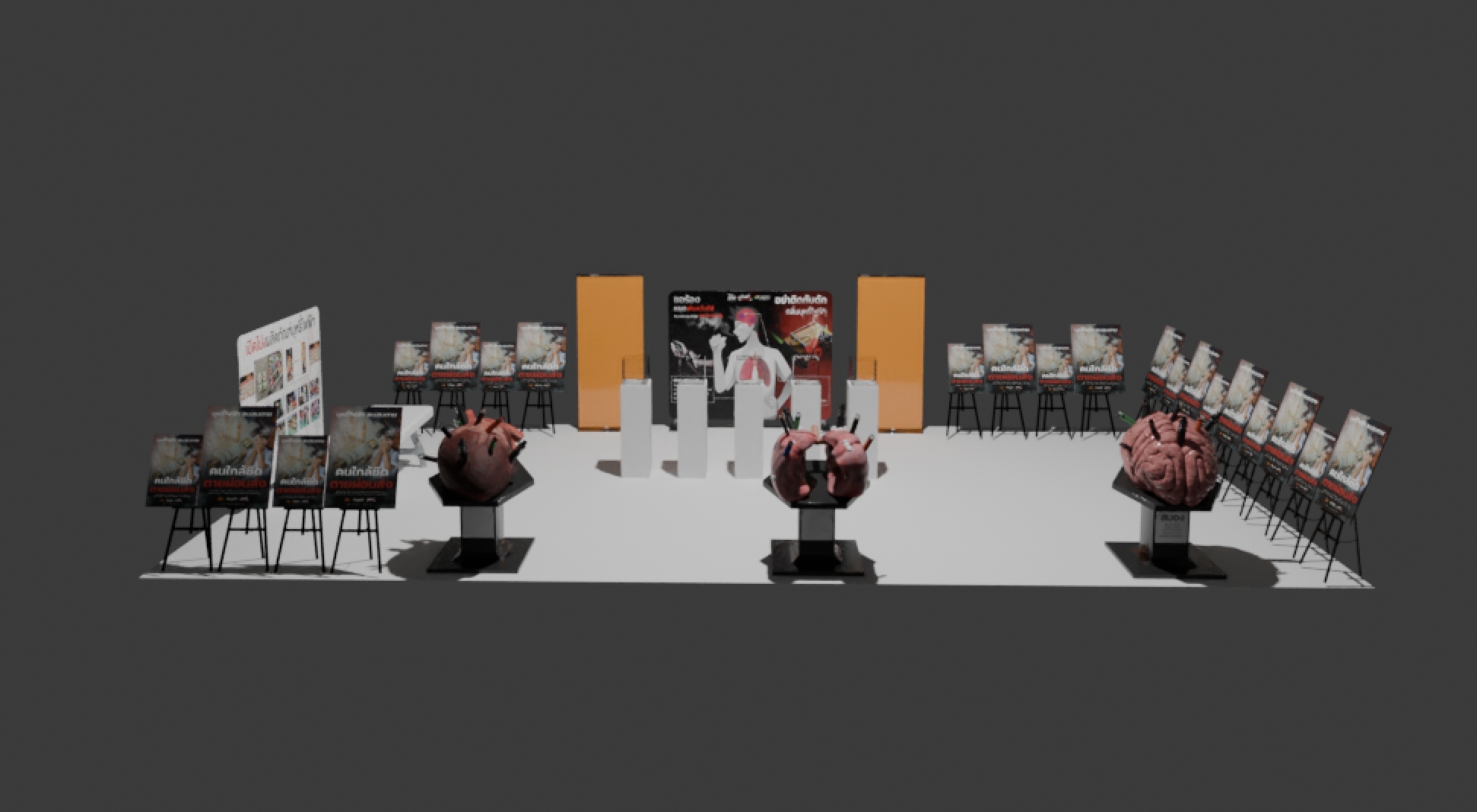 ขนาด XL รูปที่ 4